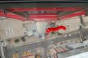 Beesie op de Calgary Tower