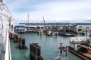 Uitzicht vanaf de boot op de haven van Tsawwassen
