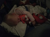 Vliegtuigbed