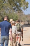 Bush walk