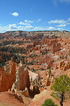 Hoodoos vanaf de rim