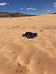 Coral pink sand dunes