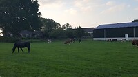 20210702_205455