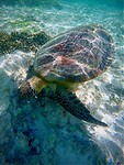 IMG-20230418-WA0004