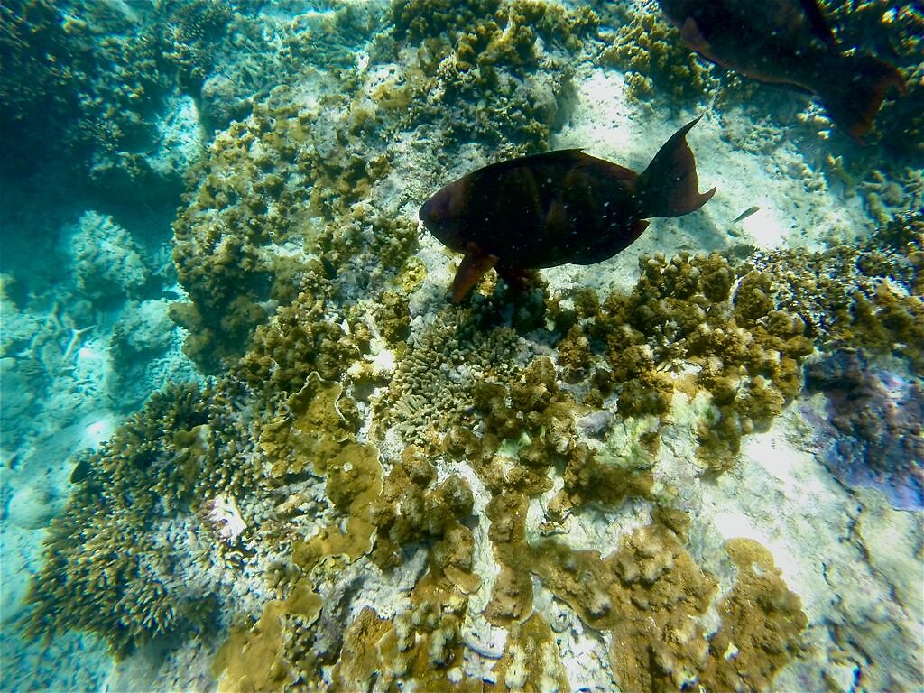 IMG-20230418-WA0002
