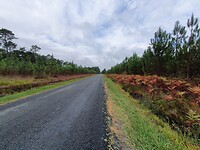 Eerste 30 km erg stil