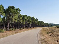 Onderweg