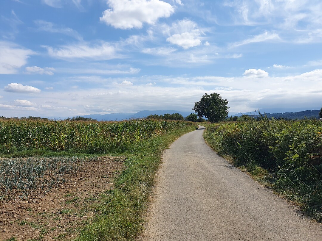Onderweg