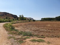 Dal van Jalon