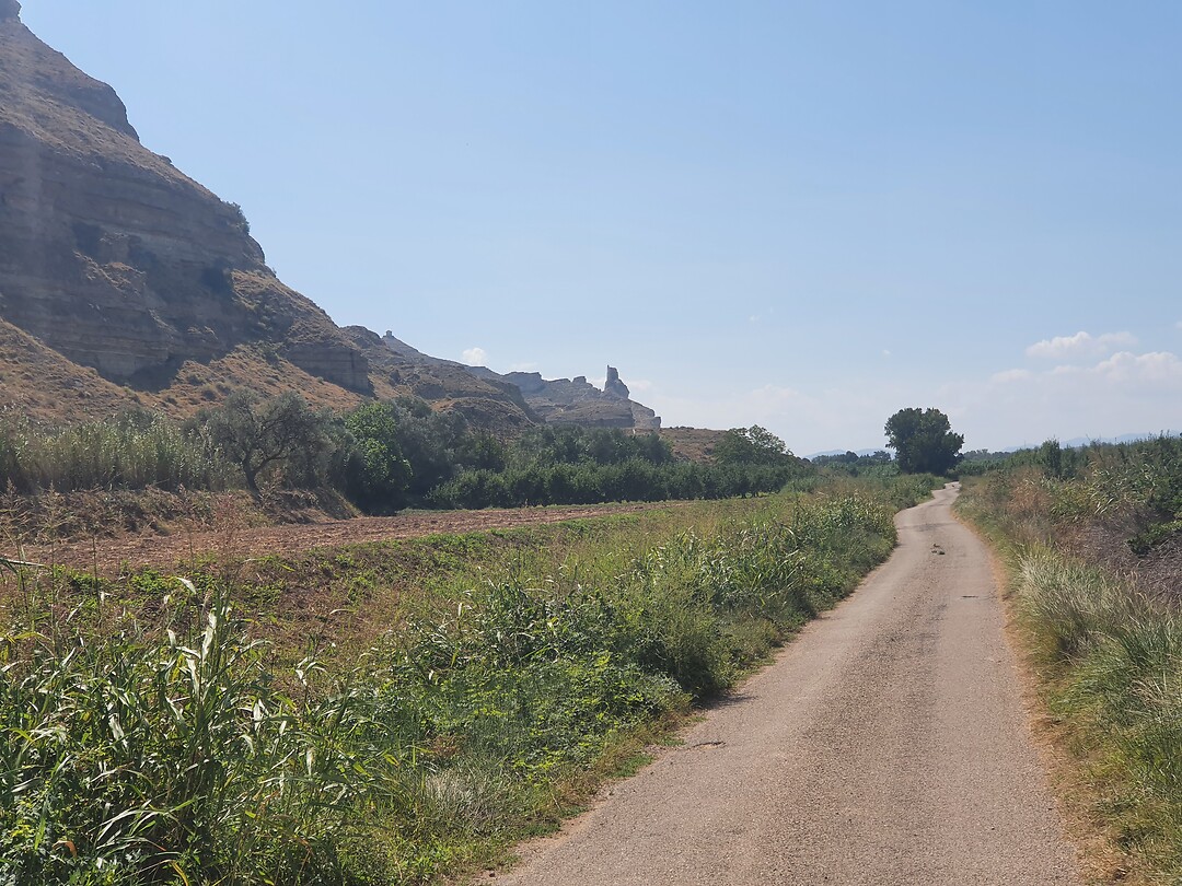 Dal van Jalon