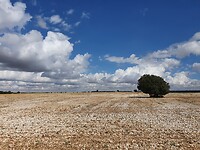 Onderweg
