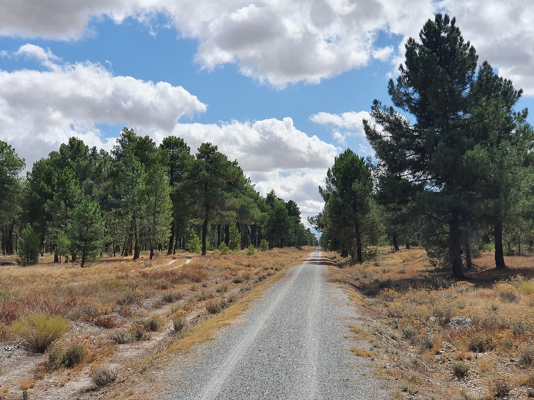Via verde