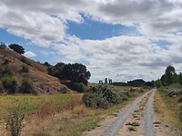 Via verde