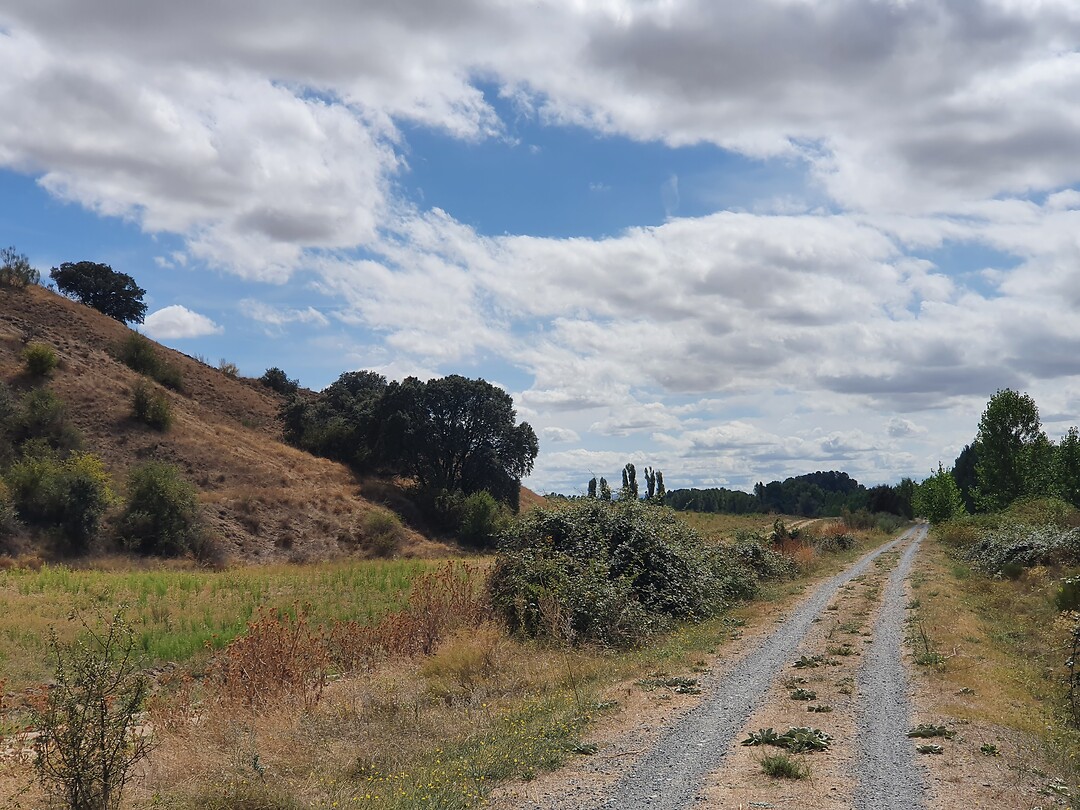 Via verde