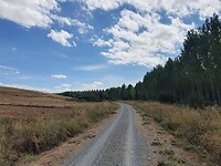 Via verde
