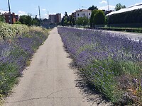 Onderweg