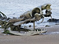 Le Serpent