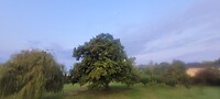 M'n camera had wat last van condens/ de tuin. Nog geen zon