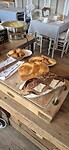 Brood
