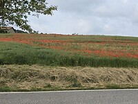 Onderweg