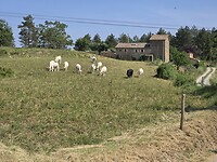 Onderweg
