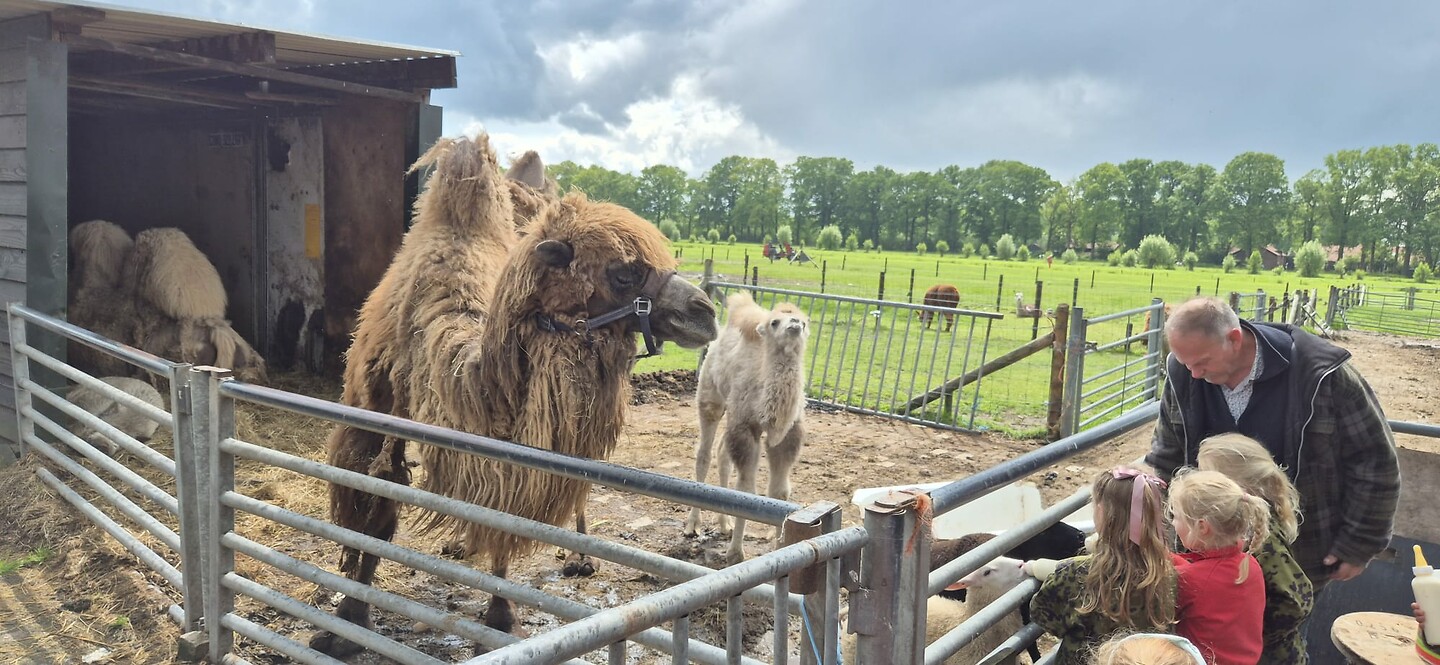 We slapen op een boerderij