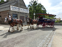 ook leuk paard met wagen