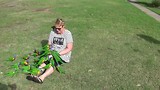 Papagaaien voeren op het park