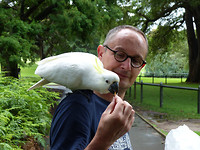 Papagaaien voeren in het park