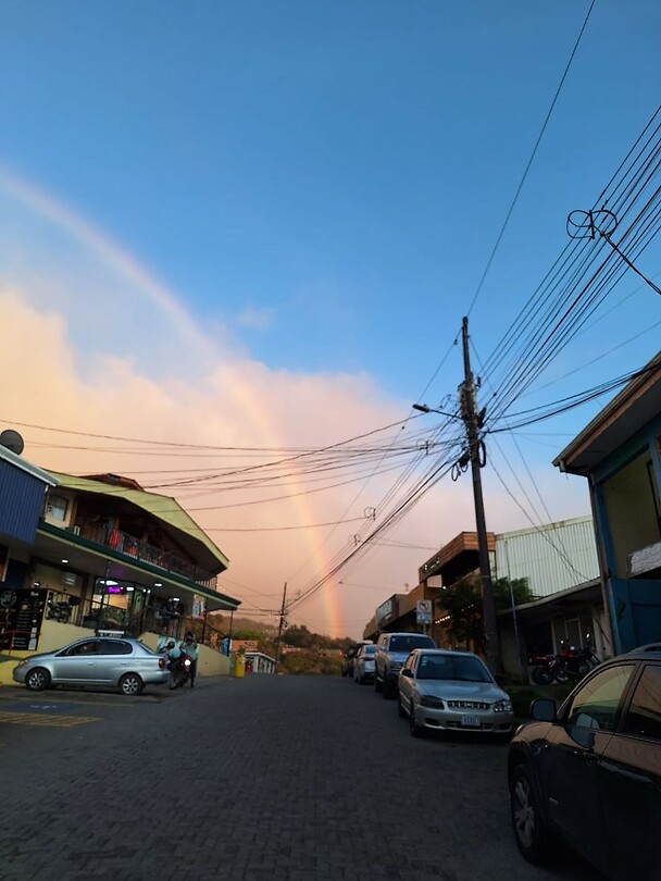 veel regenbogen hier!