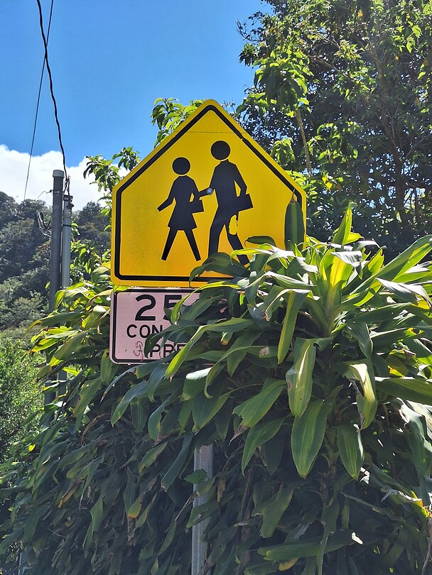 School