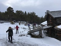 Sallii sæter