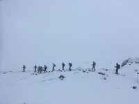 Van kop tot staart