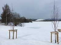 Vikingskipet