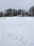 BSD komt naar Hamar
