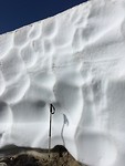 Metershoge winterresten