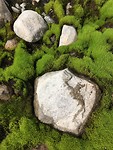 Oud en jong
