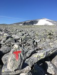 Het “pad” naar Snøhetta