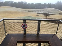 eertse pauze