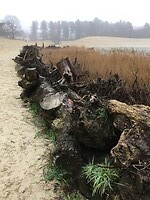 landschapsinrichting