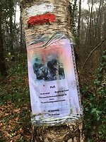 na 6 maanden vermissing