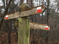 LAW routes