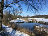 Vanaf de Brabantse Wal