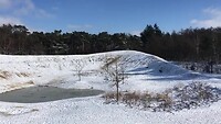 De Bergse Heide