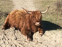 Vriend van Laetitia