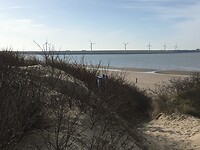 Horizonvervuiling of bittere noodzaak?