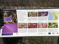 Infobord