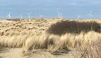 Landschap gevormd door de wind