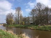 Roep om lente