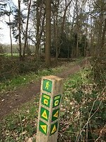 Verdwalen onmogelijk